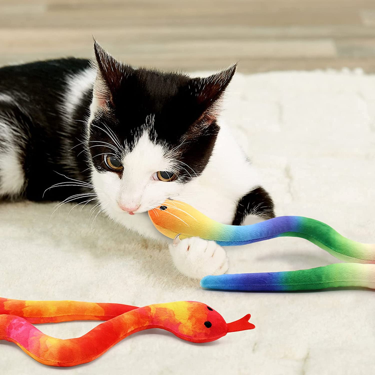 5 Pack Snake Catnip Toys for Cat | momhomedecor