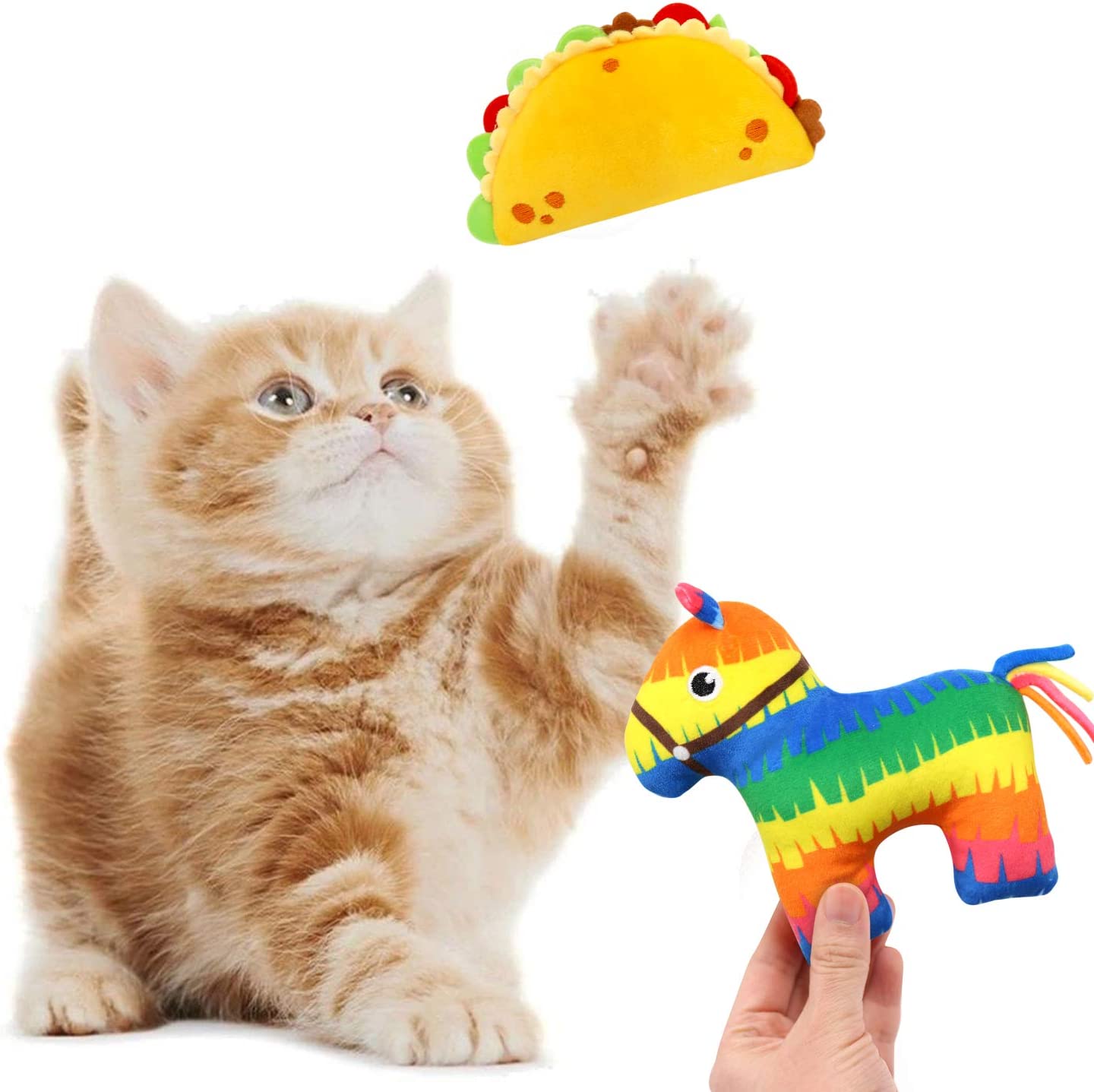 6 Pack Avocato Taco Chili Nacho Catnip Toys for Cats momhomedecor