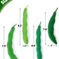 Green Bean Cat Toys Kitten Supplies 4PCS | momhomedecor
