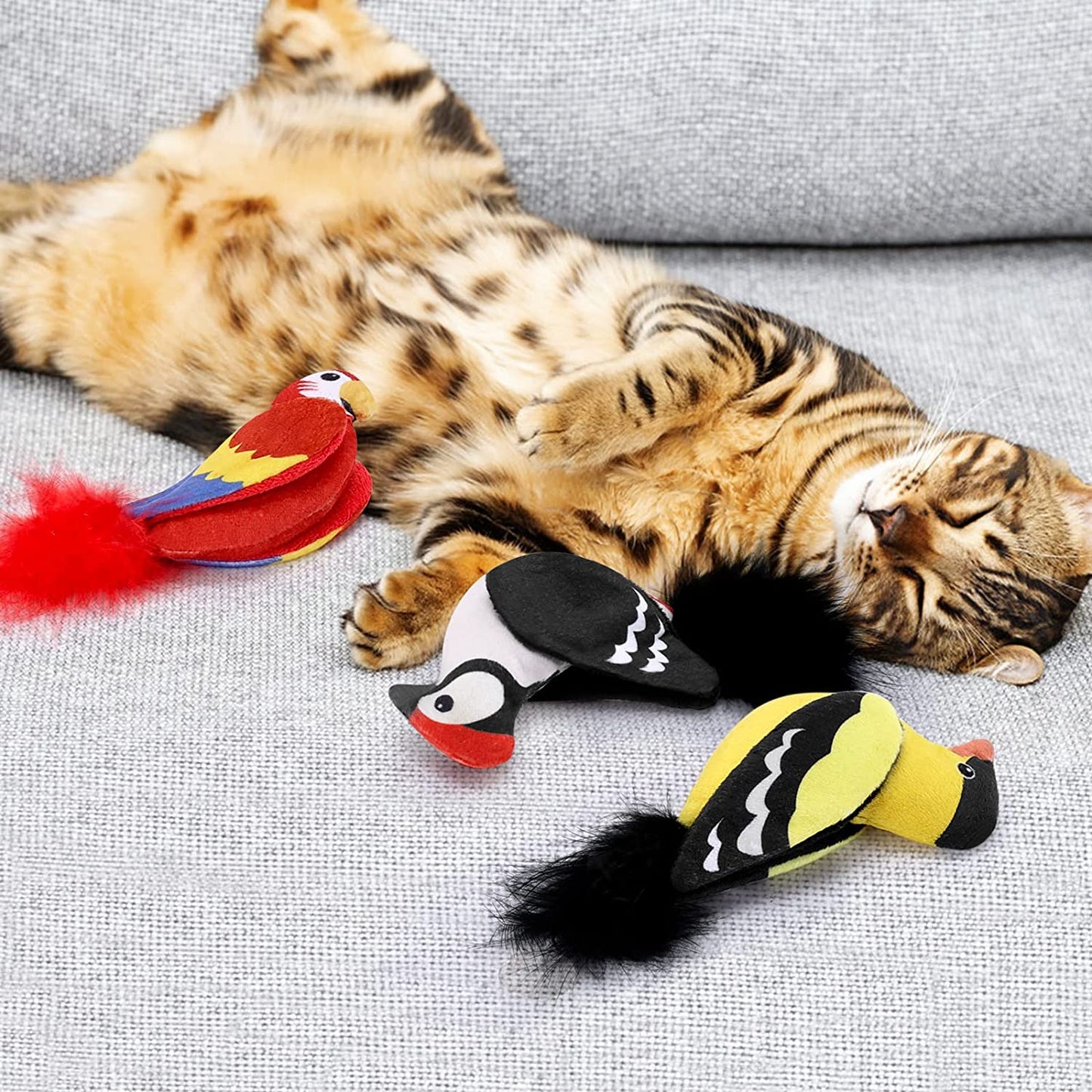 Parrot Birds Cat Toys 3PCS | momhomedecor