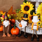 Thanksgiving Gnome Decorations 3PCS Turkey Figurines Resin Pilgrim Nisse Tomte Gnomes momhomedecor